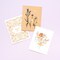 American Crafts Cards W/Envelopes 4.25"X5.5" 40/Box-Blank - Thank You
